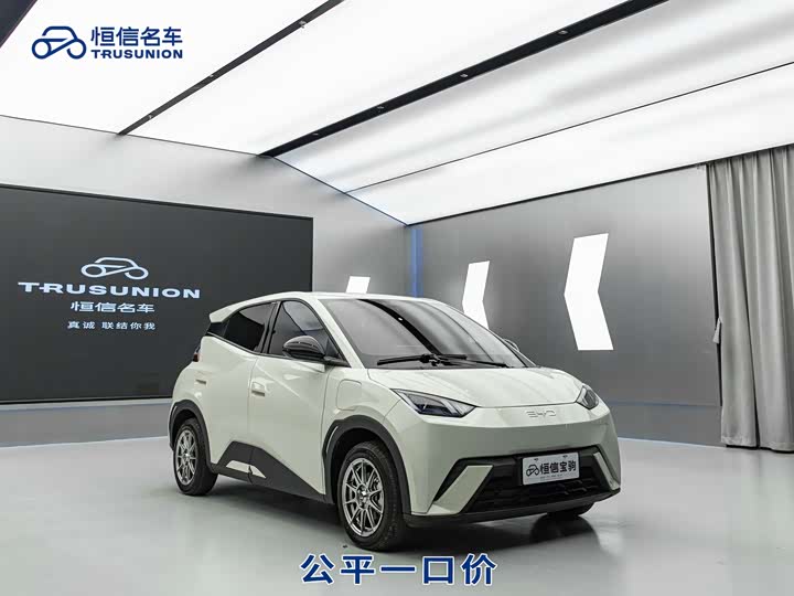 Фото 3 - BYD Seagull