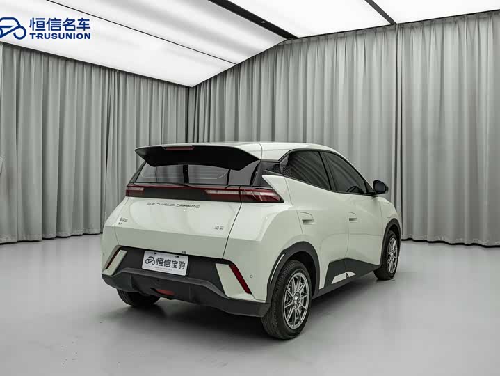 Фото 4 - BYD Seagull