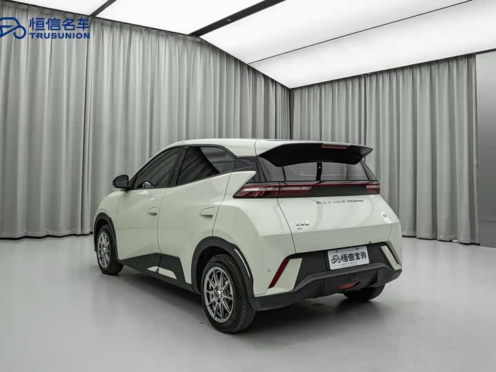 Фото 7 - BYD Seagull