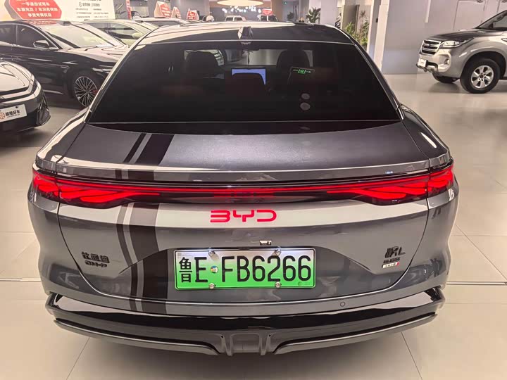 Фото 8 - BYD Han L