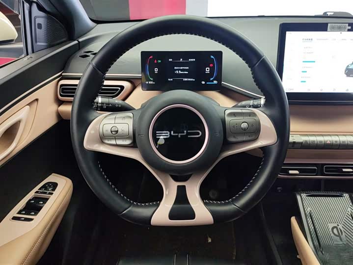 Фото 15 - BYD Seagull