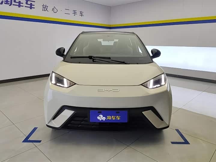 Фото 2 - BYD Seagull