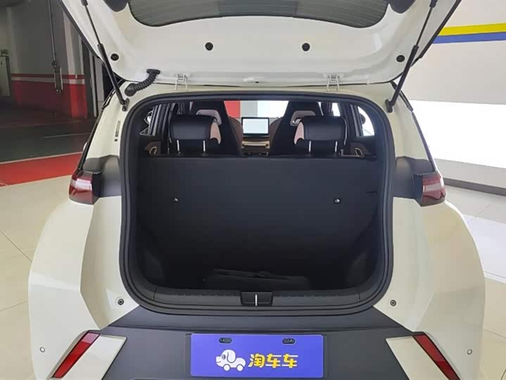 Фото 4 - BYD Seagull