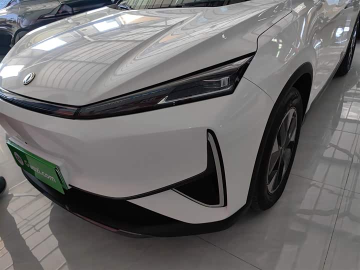 Фото 24 - Dongfeng Aeolus L7