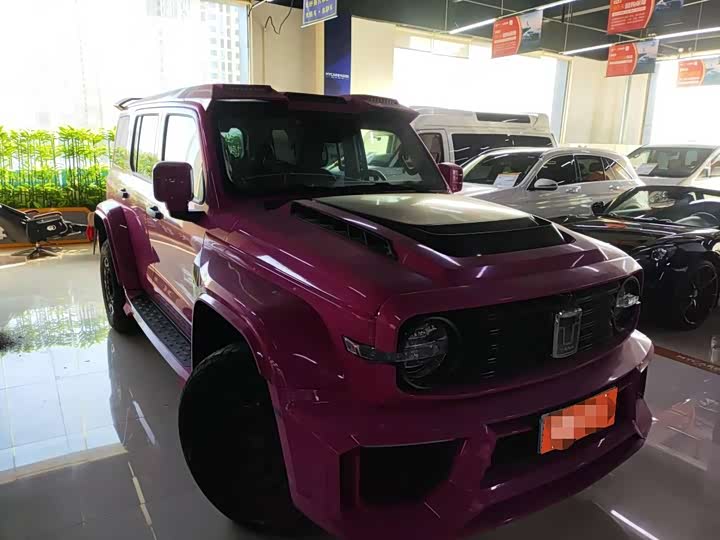 Фото 4 - Tank 300