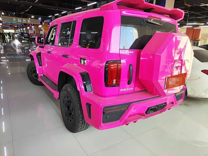 Фото 5 - Tank 300