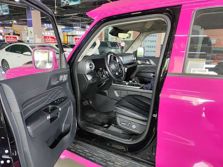 Фото 8 - Tank 300