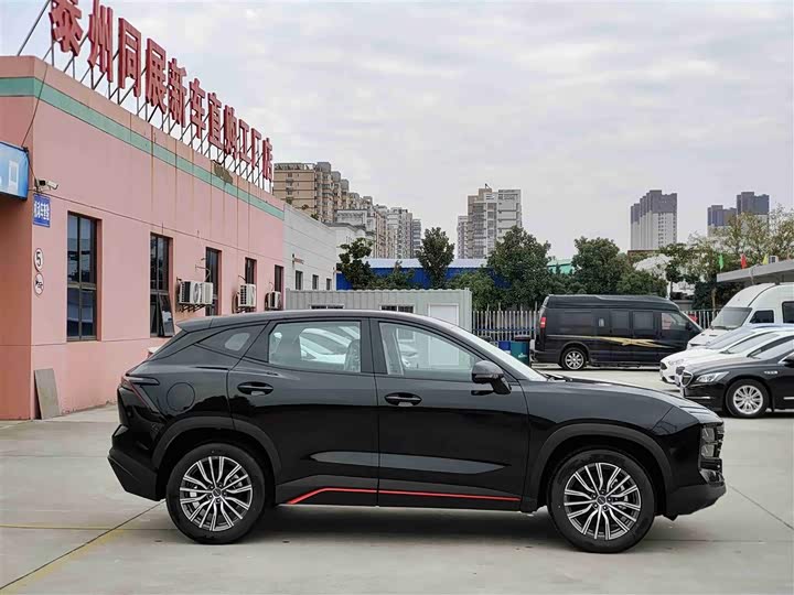 Фото 4 - Jetour Dashing