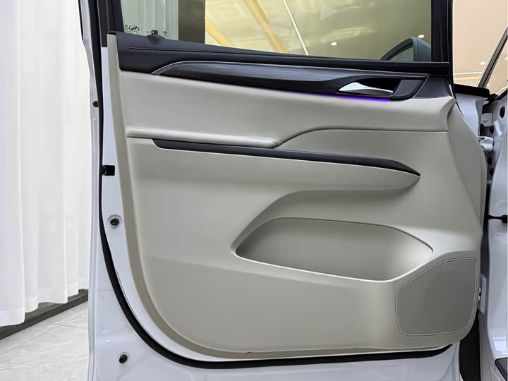 Фото 3 - Buick GL8 ES