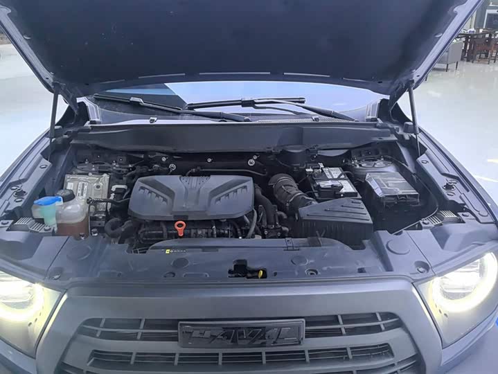 Фото 10 - Haval Dargo