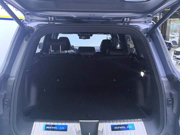 Фото 4 - Haval Dargo