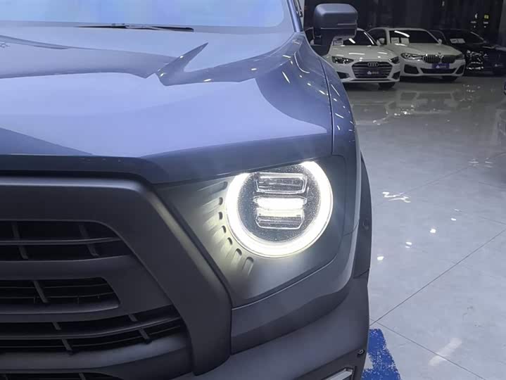 Фото 5 - Haval Dargo