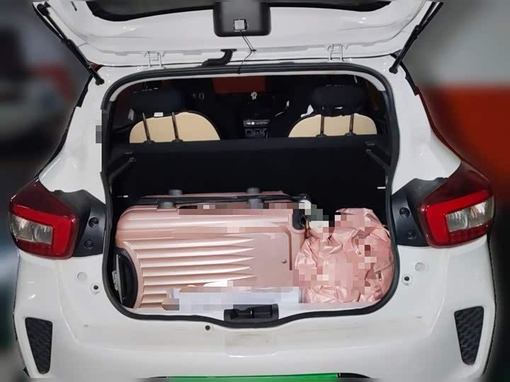 Фото 10 - Dongfeng Nammi Nano EX1 Pro