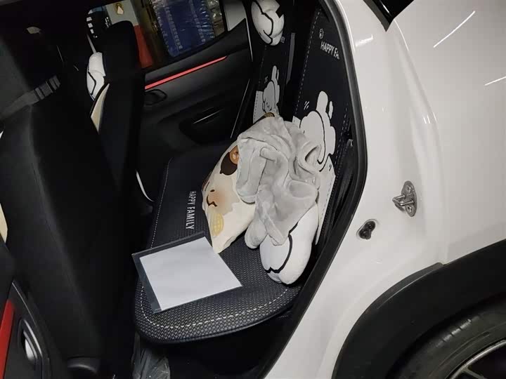 Фото 15 - Dongfeng Nammi Nano EX1 Pro