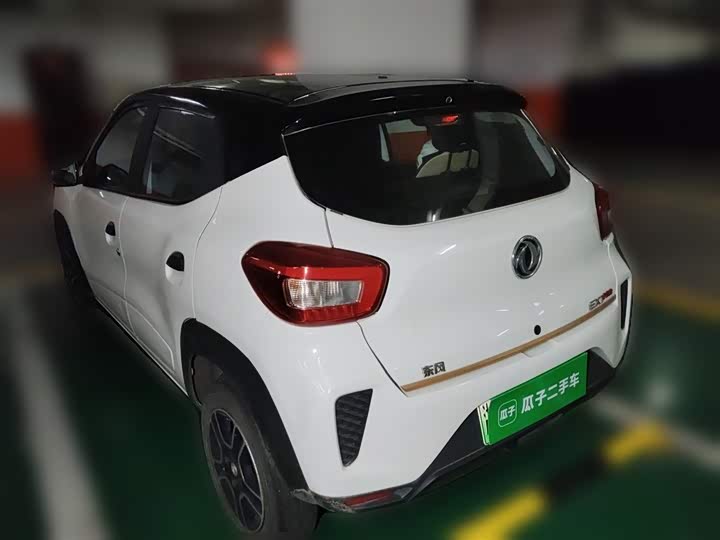 Фото 27 - Dongfeng Nammi Nano EX1 Pro