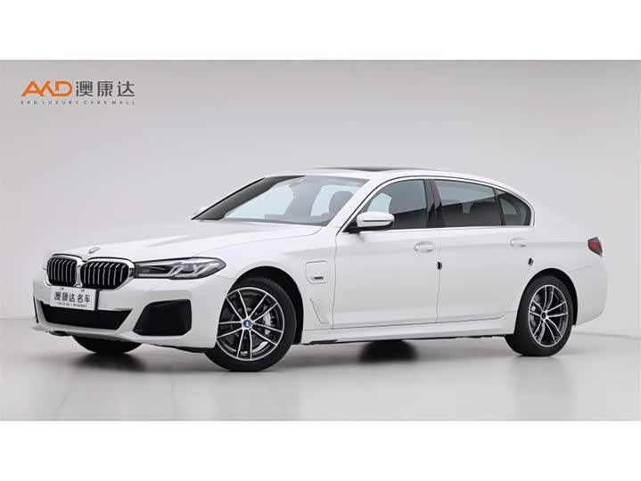 Фото 1 - BMW 5 Series Hybrid