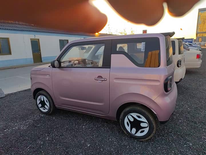 Фото 5 - Geely Galaxy Panda Mini