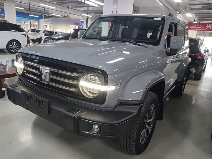 Фото 1 - Tank 300