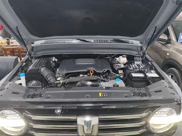 Фото 20 - Tank 300