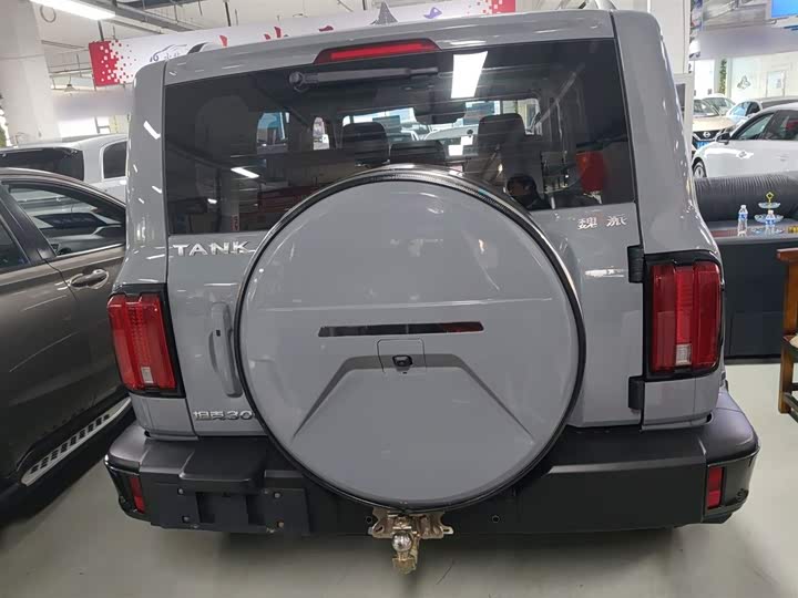 Фото 6 - Tank 300