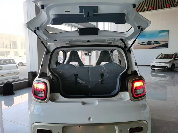 Фото 19 - Bestune Pony