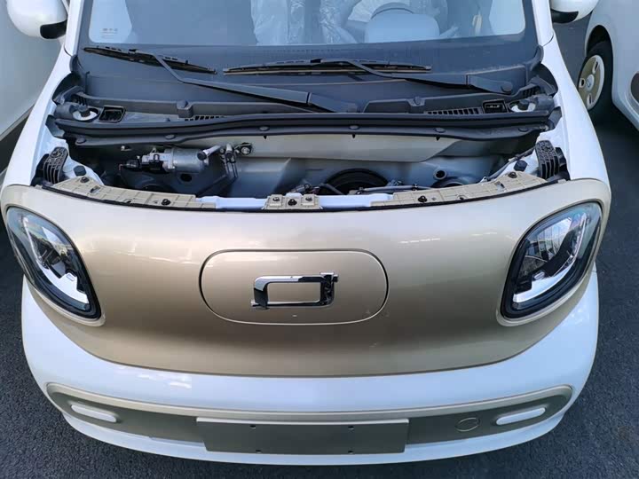 Фото 20 - Bestune Pony