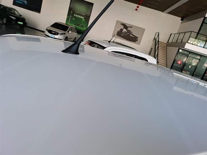 Фото 27 - Bestune Pony