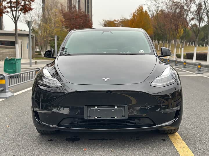 Фото 3 - Tesla Model Y