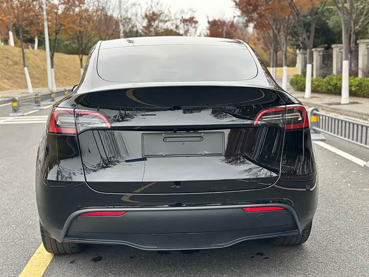 Фото 7 - Tesla Model Y