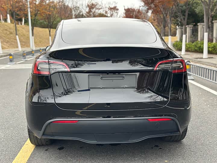 Фото 8 - Tesla Model Y