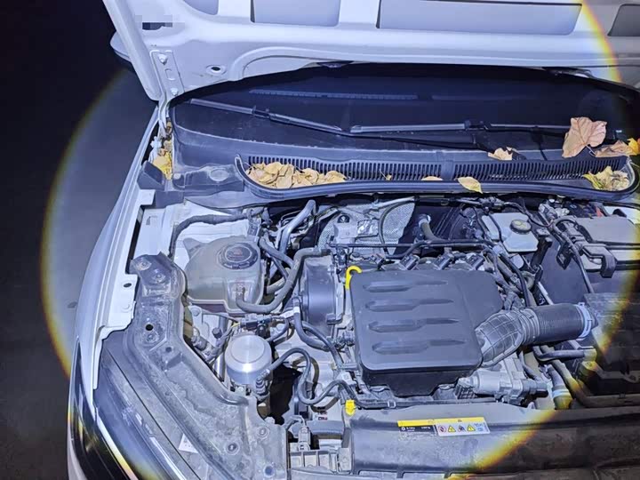 Фото 21 - Volkswagen Lavida