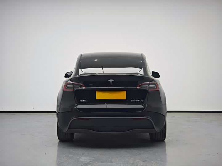 Фото 5 - Tesla Model Y