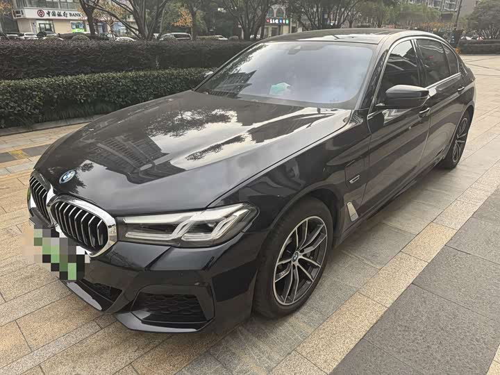 Фото 1 - BMW 5 Series Hybrid