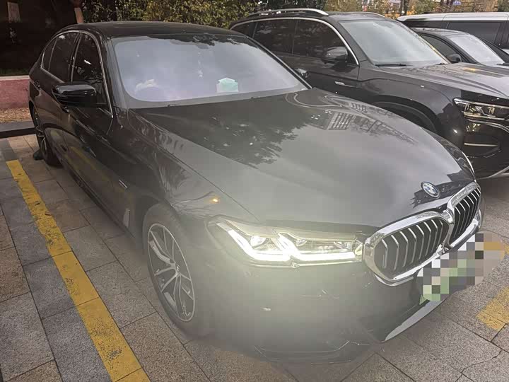 Фото 4 - BMW 5 Series Hybrid