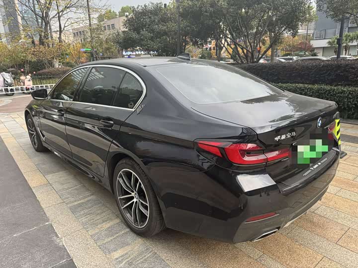 Фото 8 - BMW 5 Series Hybrid