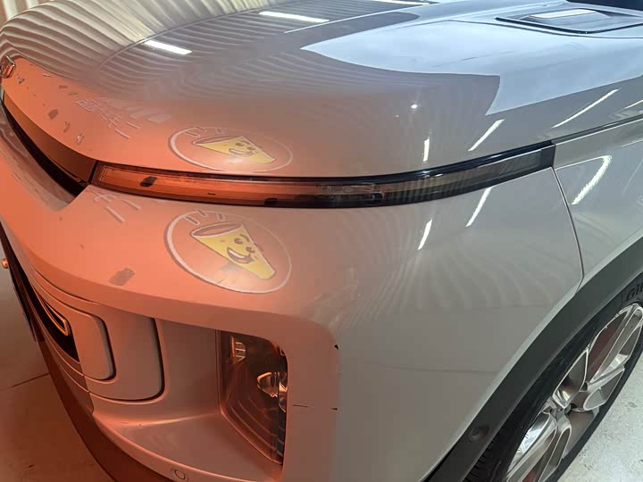 Фото 21 - Geely Icon