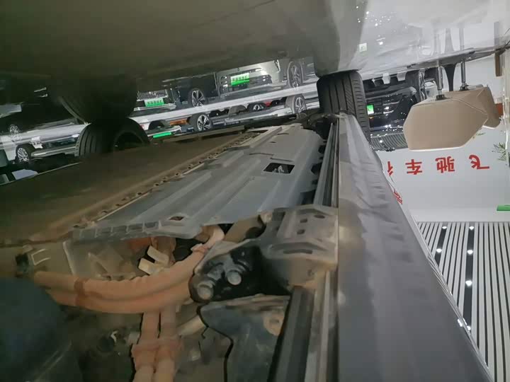 Фото 22 - Wey Lanshan