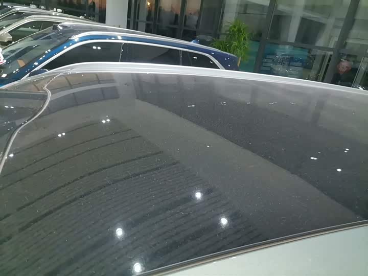 Фото 27 - Wey Lanshan