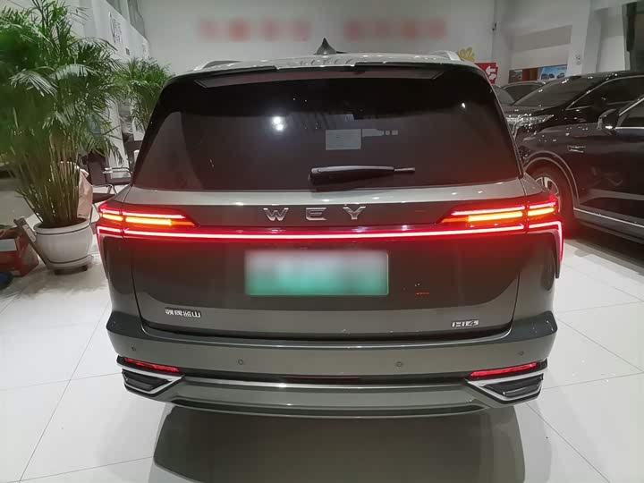 Фото 6 - Wey Lanshan