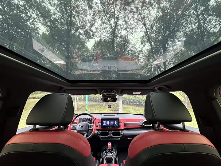 Фото 21 - Geely Icon