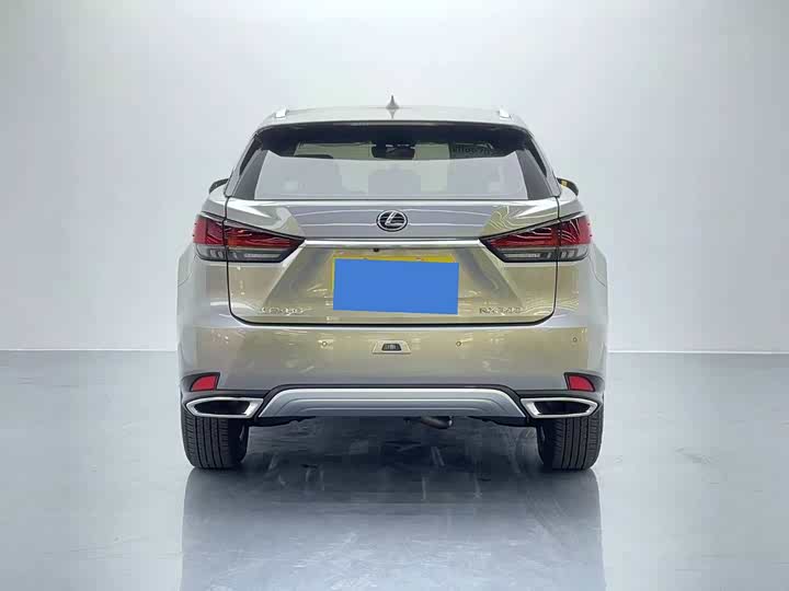 Фото 5 - Lexus RX