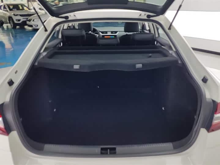 Фото 4 - Skoda Octavia Pro