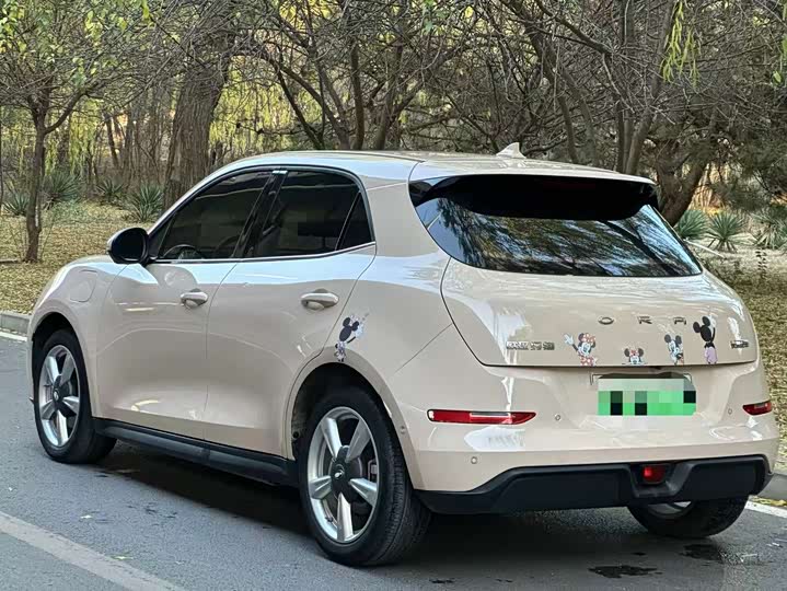 Фото 4 - Ora Good Cat (03)