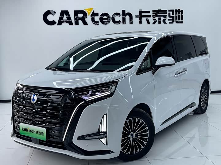 Фото 1 - Denza D9