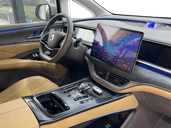 Фото 10 - Denza D9