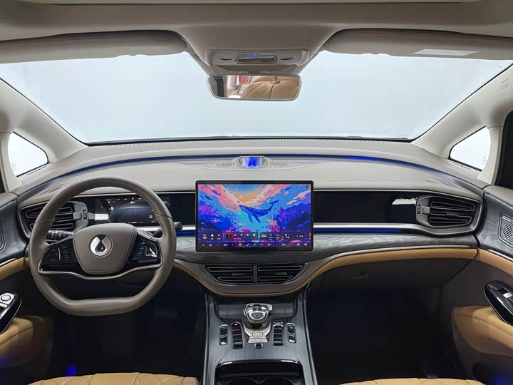 Фото 11 - Denza D9