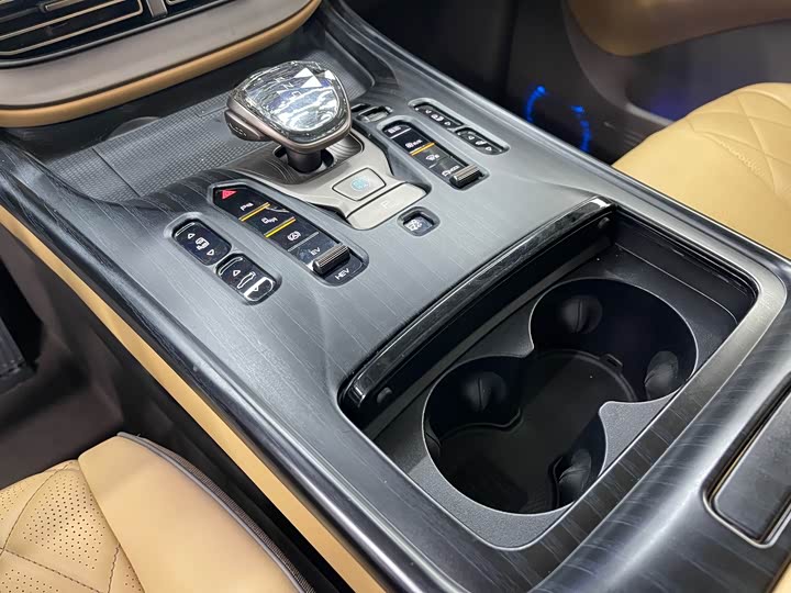 Фото 17 - Denza D9