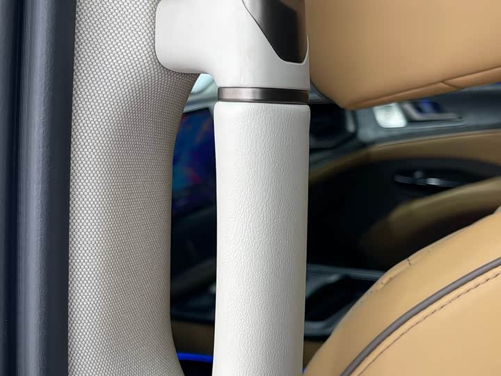 Фото 19 - Denza D9