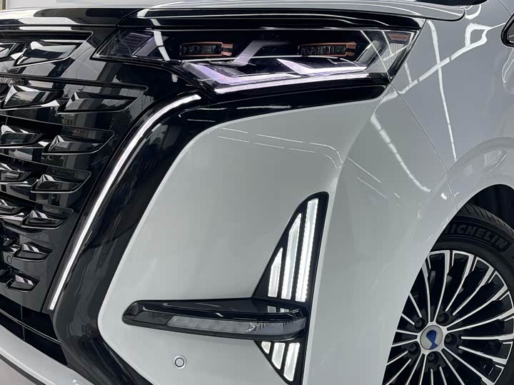 Фото 21 - Denza D9