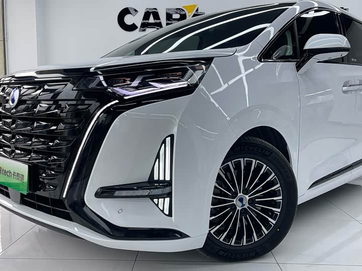 Фото 22 - Denza D9